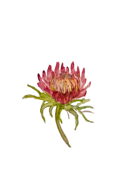 Protea print A5