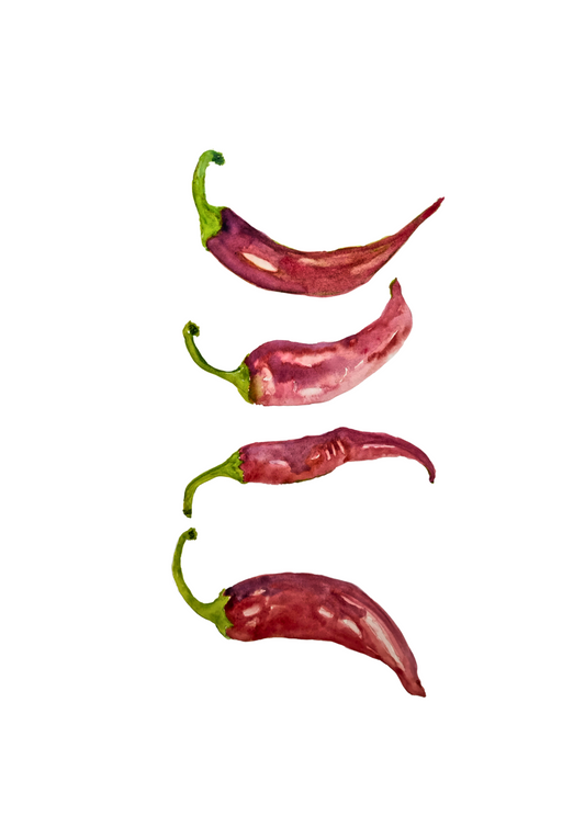 Chilli print A4